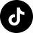 Tiktok icon